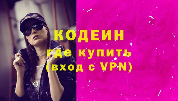 гашик Карпинск