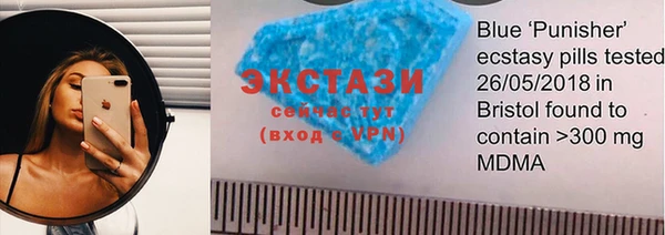 гашик Карпинск