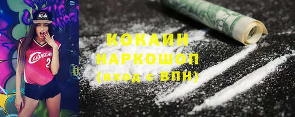гашик Карпинск