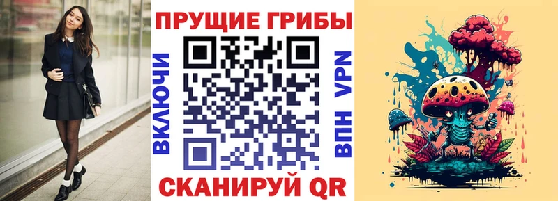 где найти наркотики  Тимашёвск  блэк спрут сайт  Псилоцибиновые грибы Magic Shrooms 